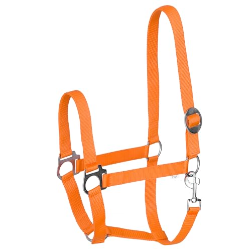 Start Economic Halfter für Pferde – Verstellbares Nylon-Stallhalfter mit Karabiner – Robust & Komfortabel – Weiches, schmutzabweisendes Material (Orange, Full (Warmblut)) von START ENJOY THE RIDE