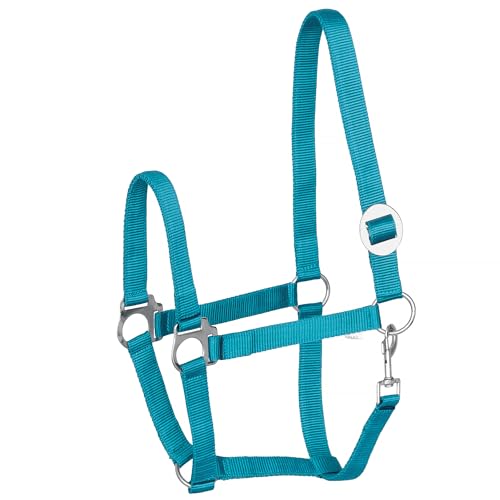 Start Economic Halfter für Pferde – Verstellbares Nylon-Stallhalfter mit Karabiner – Robust & Komfortabel – Weiches, schmutzabweisendes Material (Türkis, Cob (Vollblut)) von START ENJOY THE RIDE