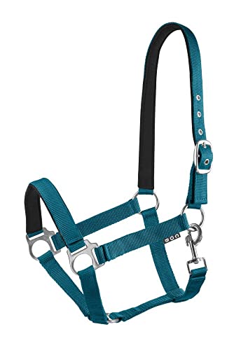 Start Halfter Pferd verstellbar – Nylon Halfter mit Polsterung – Größen: Pony, Cob, Warmblut – Komfortabel & Robust – Pferdehalfter für Stall & Weide (Petrolblau, Cob) von START ENJOY THE RIDE