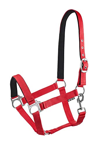 Start Halfter Pferd verstellbar – Nylon Halfter mit Polsterung – Größen: Pony, Cob, Warmblut – Komfortabel & Robust – Pferdehalfter für Stall & Weide (Rot, Cob) von START ENJOY THE RIDE