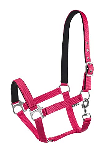 Start Halfter Pferd verstellbar – Nylon Halfter mit Polsterung – Größen: Pony, Cob, Warmblut – Komfortabel & Robust – Pferdehalfter für Stall & Weide (Himbeere, Pony) von START ENJOY THE RIDE