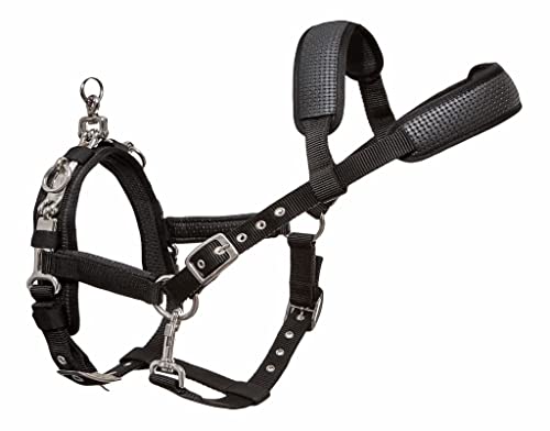 Start Kappzaum – Verstellbares Longierhalfter mit PVC-Verstärkung & Abnehmbaren Beschlägen – Trainingshalfter für Pferde (Schwarz, Warmblut) von START ENJOY THE RIDE
