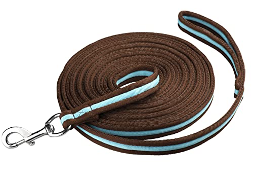 Start Longierleine für Reitsport – Pferdelonge 8 m aus Nylon – Softlonge mit Handschlaufe & Karabiner – rutschfeste Longe für Pferd – Robuste Longierleine für Training (Braun/Türkis) von START ENJOY THE RIDE