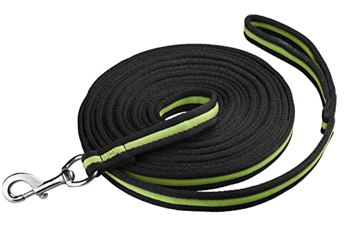 Start Longierleine für Reitsport – Pferdelonge 8 m aus Nylon – Softlonge mit Handschlaufe & Karabiner – rutschfeste Longe für Pferd – Robuste Longierleine für Training (Schwarz/Apfelgrün) von START ENJOY THE RIDE