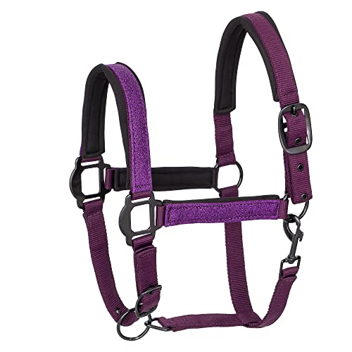 Start Neoprene Halfter für Pferd Warmblut, Vollblut – Stallhalfter, Weidehalfter, 2 Fach verstellbar an Kinnriemen und Genickstück, sicher & reißfest, Halfter Cob (Pony, Violett) von START ENJOY THE RIDE