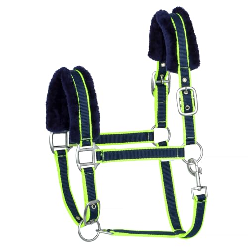Start Pferdehalfter verstellbar gepolstert – Robustes Nylon Stall- & Weidehalfter mit Polsterung für Komfort und Schutz, ideal für Training, Transport & Alltag (Dunkelblau/Grün, Cob (Vollblut)) von START ENJOY THE RIDE