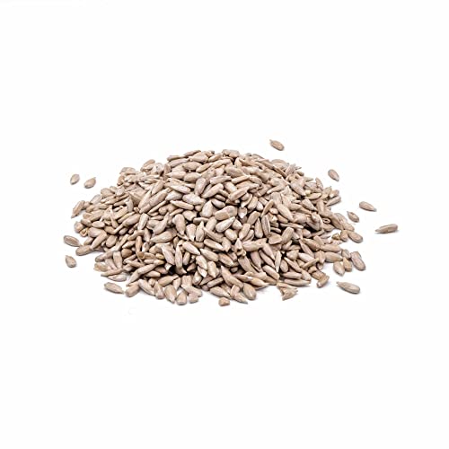 StaWa Sonnenblumenkerne, geschält, 5 kg als Futter für Hühner, Vögel oder Wachteln von STAWA