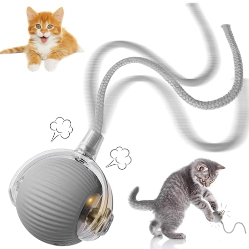 STFYUG Katzenspielzeug Ball, Interaktives Katzenspielzeug Katzenball, 360° Interaktiver Spielball für Katzen, Katzenbälle, Interaktiver Spielball mit Schwanz für Katzen von STFYUG