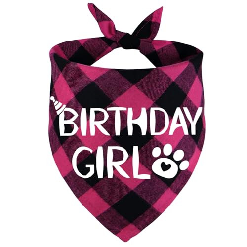 STMK Hunde-Geburtstags-Halstuch, verschiedene Größen, Hunde-Geburtstagstuch, für kleine, mittelgroße und große Hunde, Haustiere (Größe XL, Rosa) von STMK