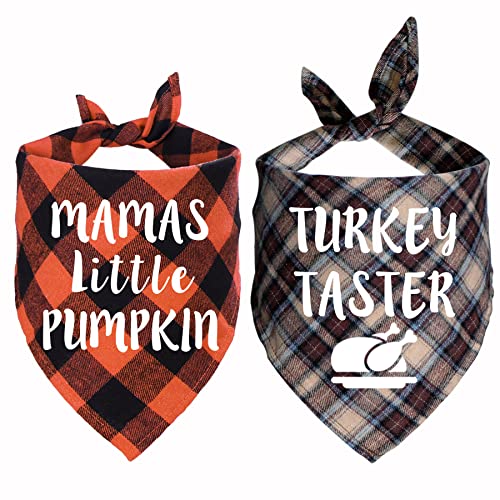 STMK Hundehalstücher für Thanksgiving, 2 Stück, für Urlaub, Herbst, Halloween, Erntedankfest, Hundewelpen-Kostüm (Mamas Little Pumpkin & Truthahn Taster) von STMK