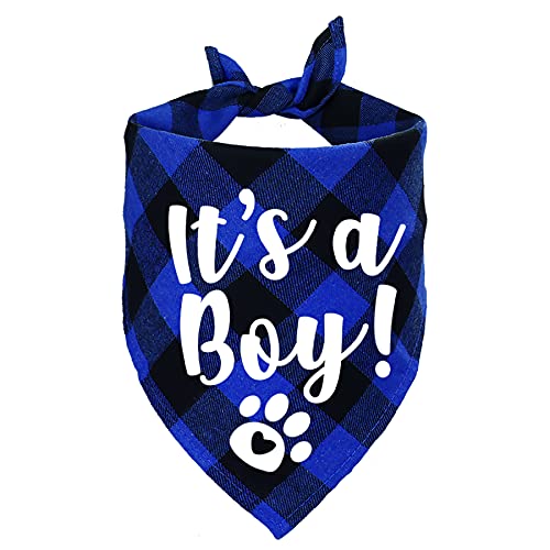STMK It's A Boy Hundehalstuch, kariert, Schwangerschaftsankündigung, Hundehalstuch, Baby-Ankündigung, Hundehalstuch, Geschlechtsoffenbarung, Foto-Requisite für Hunde, Blau von STMK
