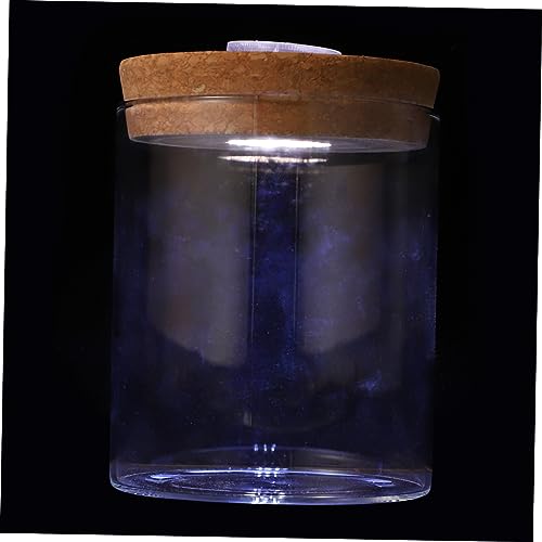 STOBAZA 1 Stück Cylindrische Glasflasche aus Borosilikatglas Mini Fischbecken für DIY Mikrolandschaft mit LED Licht Vielseitige Dekoration für Zuhause und Aquaristik von STOBAZA
