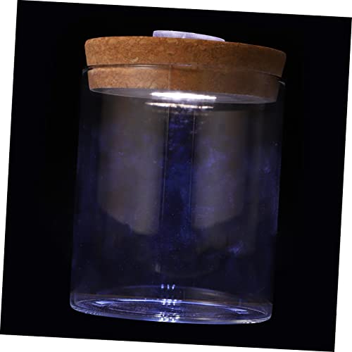 STOBAZA 1 Stück Mini Aquarium Flasche aus Borosilikatglas mit LED Licht Kreatives Terrarium für Pflanzen und Fische Dekorative Glasvase für Schlafzimmer und Badezimmer von STOBAZA