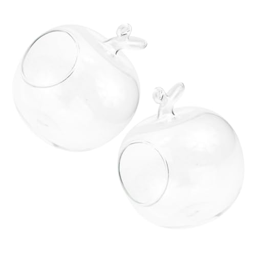 STOBAZA 2 Stück Teiliges Apfel-förmiges Glas-Terrarium Klarer Mikro-landschaftsbehälter für Hydroponik Dekorativer Pflanzhalter für Innenräume und Gewächshaus Stilvolle Home-Dekoration von STOBAZA