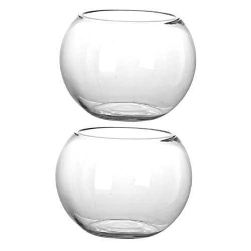 STOBAZA Hydrokultur-Terrarium 2er-Pack Runde Glasflasche Moosbehälter Moospflanze Dekoration Für Zuhause Und Büro von STOBAZA