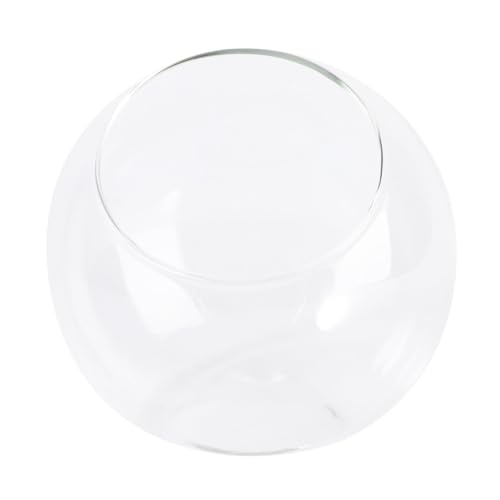 STOBAZA Kleiner Glasflasche Terrarium aus Mikrolandschafts Selbstgemacht Flasche Dekoration für Zuhause Langlebig und Bruchsicher für Pflanzen und Miniaturornamente von STOBAZA