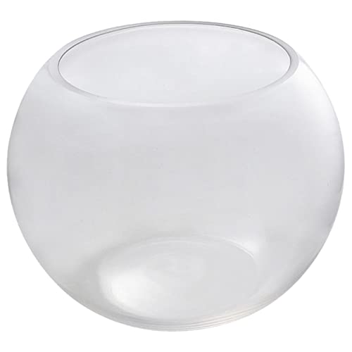 STOBAZA Kleiner Glaskugel Fischtank Transparentes Design für Goldfische und Pflanzen Mikrolandschafts Aquarium für Schreibtisch und Pflegeleicht STOBAZA Kleiner Glaskugel Fischtank Transparentes Design für Goldfische und Pflanzen Mikrolandschafts Aquarium für Schreibtisch und Pflegeleicht von STOBAZA