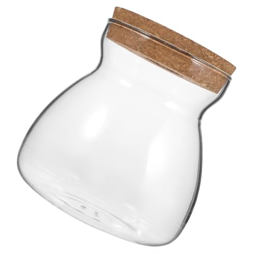 STOBAZA Terrarium Behälter für Pflanzen und Sukkulenten Transparentes Mikrolandschafts Ökosystem mit Lochdeckel für Indoor Dekoration und Kreative Arrangements STOBAZA Terrarium Behälter für Pflanzen und Sukkulenten Transparentes Mikrolandschafts Ökosystem mit Lochdeckel für Indoor Dekoration und Kreative Arrangements von STOBAZA