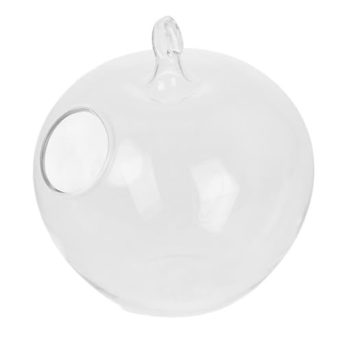 STOBAZA Transparenter Apfelförmiger Glas-hängepflanzer Großer Terrarium Fischschale Dekorativer Schreibtisch-Aquarium Für Büro Wohnzimmer Luftreinigend von STOBAZA