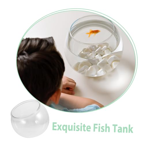 STOBAZA Transparenter Runder Kunststoff-Aquarium Terrarium Fischglas Multifunktional für Kleine Fische Aquatische Pflanzen Büro-schreibtischdekoration Sicher Kompakt Vielseitig als Vase von STOBAZA