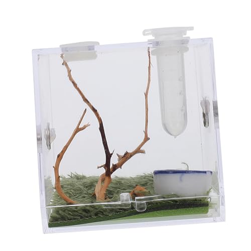 STOBOK 1satz Jumping Spider Habitat Box Terrarium Für Springspinnen Transparente Zuchtbox Mit Belüftungsöffnungen Einfach Zu Reinigen Beobachten Für Heimdekoration STOBOK 1satz Jumping Spider Habitat Box Terrarium Für Springspinnen Transparente Zuchtbox Mit Belüftungsöffnungen Einfach Zu Reinigen Beobachten Für Heimdekoration von STOBOK