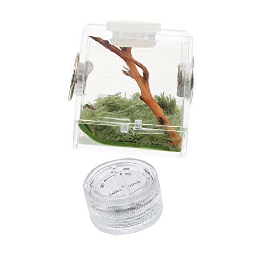 STOBOK Kasten Springspinnen-zuchtbox Lebensraum Der Spinne Klares Reptilienterrarium Sprungspinnengehege Spinnenträger Mini-Lebewesen Gehäuse Landschaftsbox Acryl Kleine Spinne Klettern STOBOK Kasten Springspinnen-zuchtbox Lebensraum Der Spinne Klares Reptilienterrarium Sprungspinnengehege Spinnenträger Mini-Lebewesen Gehäuse Landschaftsbox Acryl Kleine Spinne Klettern von STOBOK