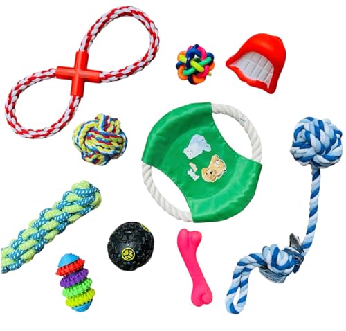 STORE4PETS 10er-Pack Hundespielzeug-Set - Interaktives Kauspielzeug für kleine bis mittelgroße Hunde - Seilspielzeug, Kauspielzeug aus Gummi, Zahnreinigungsspielzeug, Zerrspielzeug & mehr STORE4PETS 10er-Pack Hundespielzeug-Set - Interaktives Kauspielzeug für kleine bis mittelgroße Hunde - Seilspielzeug, Kauspielzeug aus Gummi, Zahnreinigungsspielzeug, Zerrspielzeug & mehr von STORE4PETS