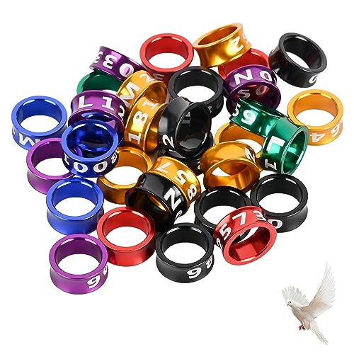STPCTOU Vogelringe, Vogelbänder, Vogelbeinringe, mehrfarbige Aluminium-Taubenbeinringe, Identifikationsringe, Tauben-Trainingsringe, Hibiskusvögel, Papageien, Pfingstrosen, Tauben, gemischte Farben STPCTOU Vogelringe, Vogelbänder, Vogelbeinringe, mehrfarbige Aluminium-Taubenbeinringe, Identifikationsringe, Tauben-Trainingsringe, Hibiskusvögel, Papageien, Pfingstrosen, Tauben, gemischte Farben von STPCTOU