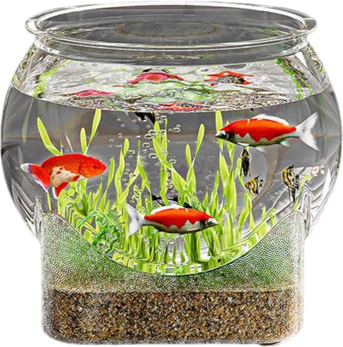 STREAMVOY Transparenter runder Fischbecken/Schildkröten-Schüssel – Desktop-Aquarium für kleine Räume, langlebiges PET-Material, leicht zu reinigen, moderne Heimdekoration (klein) von STREAMVOY