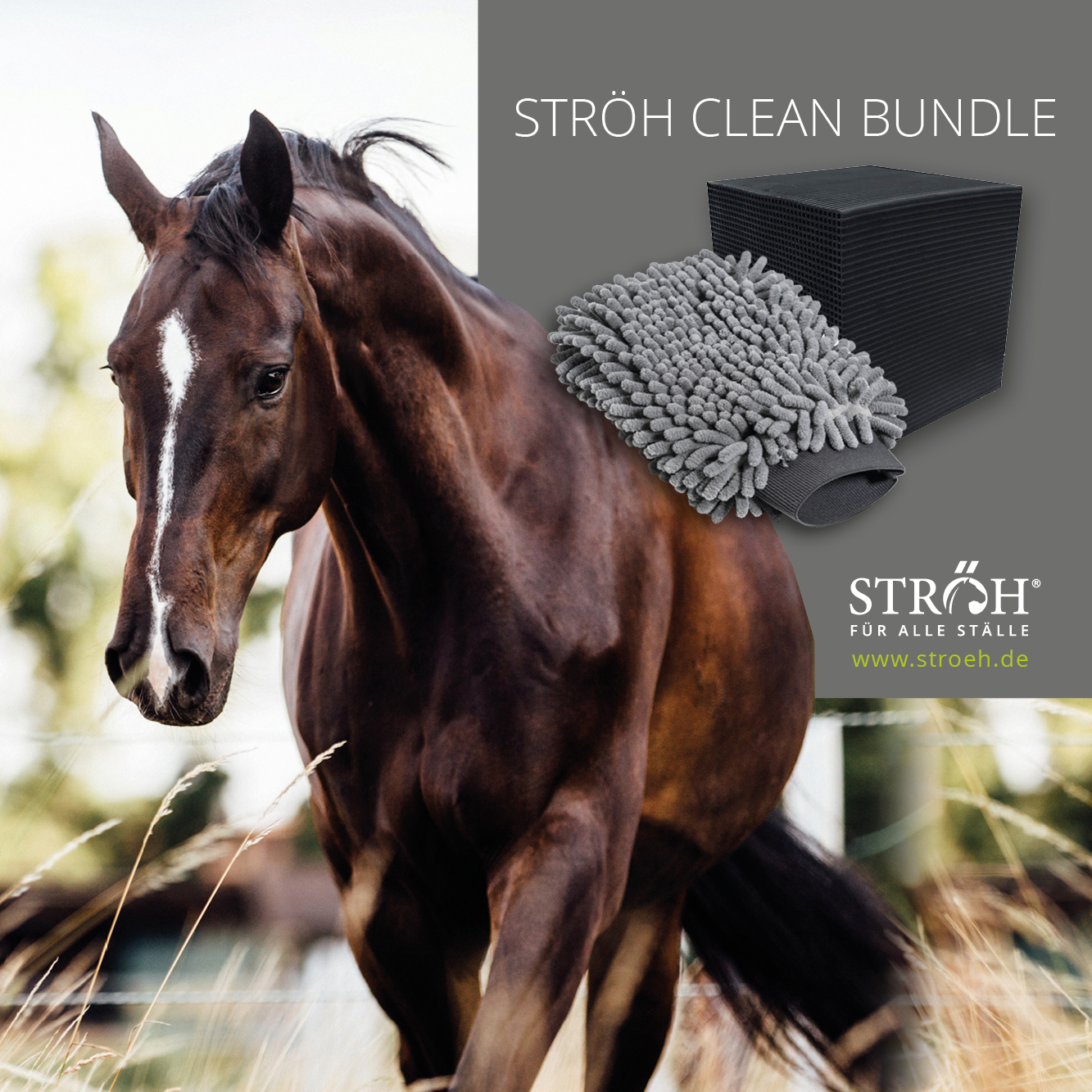 STRÖH Clean Bundle Kristallklar & Brillanz von STRÖH