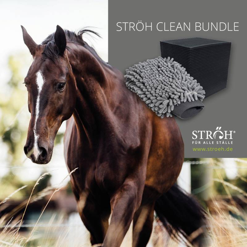 STRÖH Clean Bundle Kristallklar & Brillanz STRÖH Clean Bundle Kristallklar & Brillanz von STRÖH