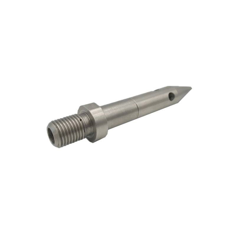 STRÖH Edelstahl-Spike Ersatzspike für Haygain Heubedampfer von STRÖH