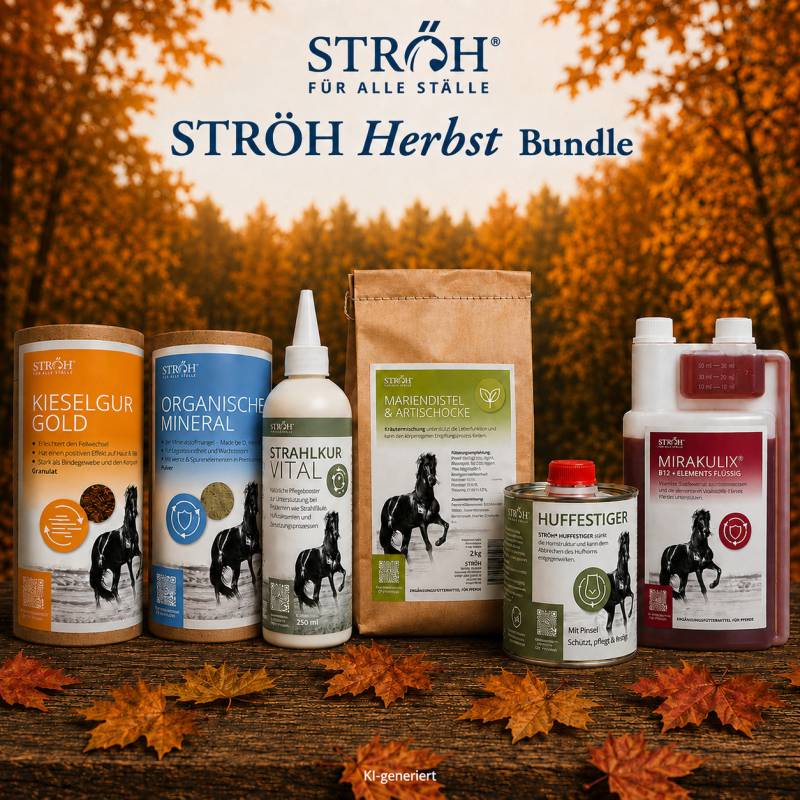 STRÖH Herbst Bundle Rundum fit in den Herbst STRÖH Herbst Bundle Rundum fit in den Herbst von STRÖH