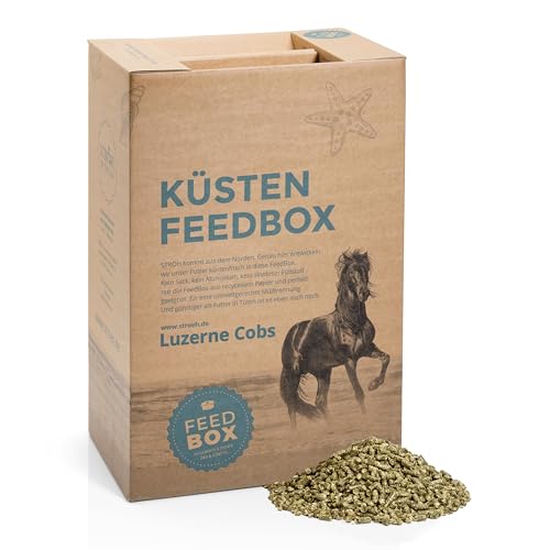 STRÖH Küsten Luzerne-Cobs (30kg Feedbox) Pferd • Luzernecobs für Pferde • Raufutter Snack • Pferde-Leckerlis • Heuersatz Pferd von STRÖH
