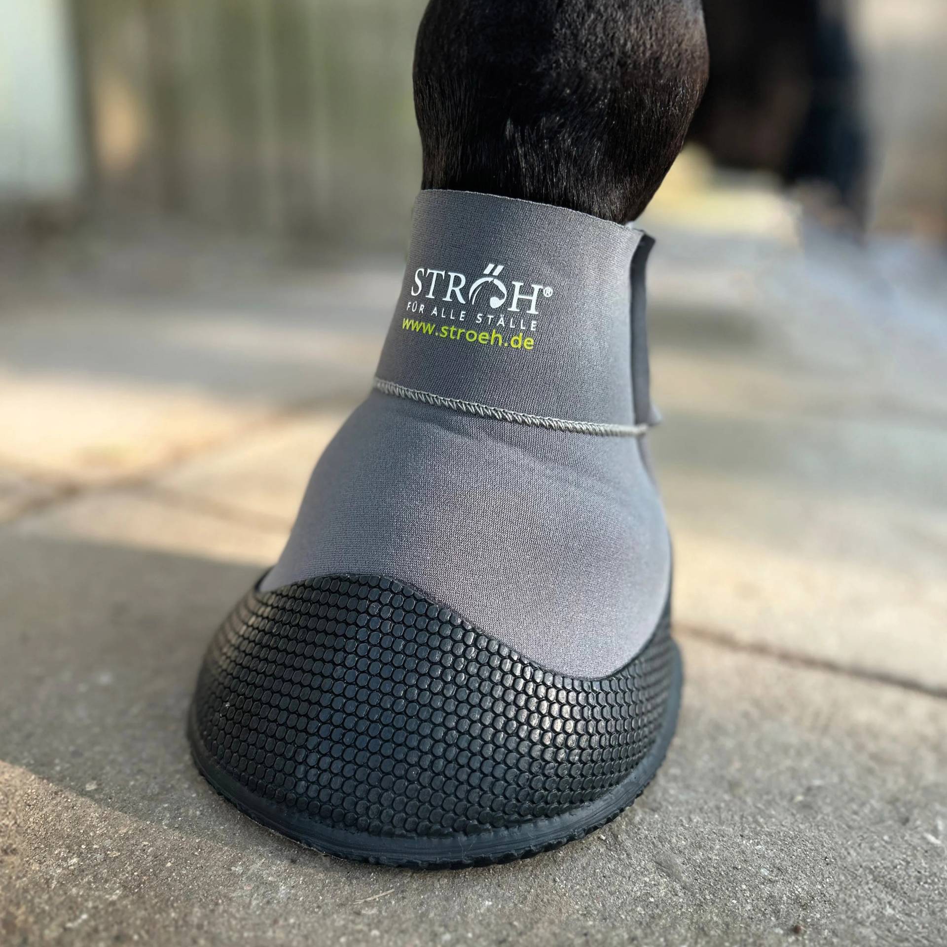 STRÖH Recovery Hufschuh Gr. 9 Schützt Wunden und Verbände am Pferdehuf STRÖH Recovery Hufschuh Gr. 9 Schützt Wunden und Verbände am Pferdehuf von STRÖH