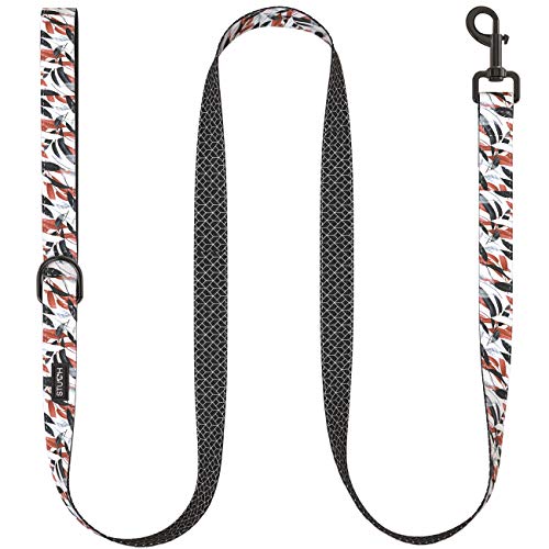 STUCH ® Hundeleine - 1,53m Länge - Duo Style - Nylon Hunde Leine mit gepolsterten Handgriffen - Für kleine, mittlere und große Hunde (L (2,5cm x 153cm), Bunt (Blätter)) von STUCH