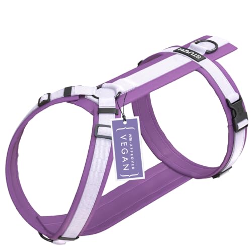 STUCH Hundegeschirr - verstellbares Nylon Geschirr - gepolstert - Für kleine, mittlere und große Hunde (Lila, XXS) von STUCH