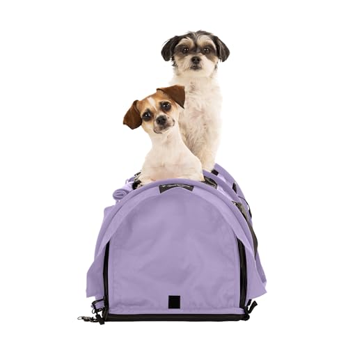 SturdiBag Pro 2.0 Geteilte Haustier-Tragetasche mit flexibler Höhe für Katzen und Hunde, weiche Seiten, Haustier-Tragetasche mit Sicherheitsclips und Sicherheitsgurten, für Flugzeug- oder Autoreisen, SturdiBag Pro 2.0 Geteilte Haustier-Tragetasche mit flexibler Höhe für Katzen und Hunde, weiche Seiten, Haustier-Tragetasche mit Sicherheitsclips und Sicherheitsgurten, für Flugzeug- oder Autoreisen, von STURDI PRODUCTS