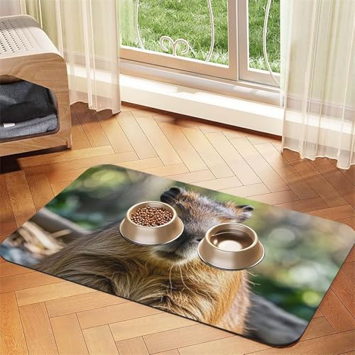 Capybara Hundefuttermatten mit geschlossenen Augen, für Böden, 30,5 x 45,7 cm, rutschfest, super saugfähig, für Futter und Wasser, niedlich, Gummi, schnell trocknend, für Hunde, Welpen, Katzen Capybara Hundefuttermatten mit geschlossenen Augen, für Böden, 30,5 x 45,7 cm, rutschfest, super saugfähig, für Futter und Wasser, niedlich, Gummi, schnell trocknend, für Hunde, Welpen, Katzen von STVYUKL
