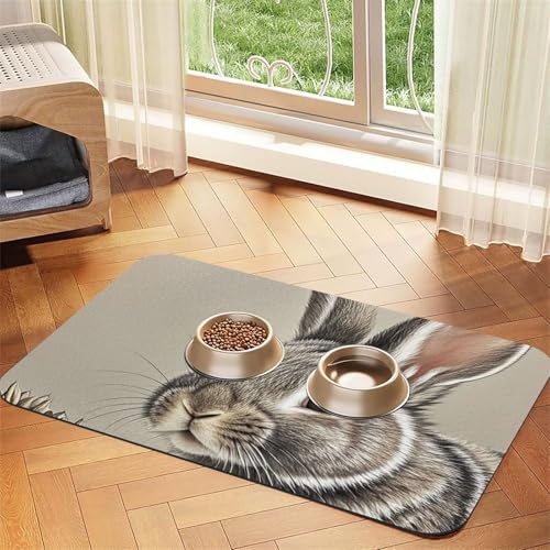 Handgezeichnete Kaninchen-Hundefuttermatten für Böden, 30,5 x 45,7 cm, rutschfeste, super saugfähige Haustierfuttermatte, Geschirrspüler-Hundematte für Futter und Wasser, niedlich, schnell trocknend Handgezeichnete Kaninchen-Hundefuttermatten für Böden, 30,5 x 45,7 cm, rutschfeste, super saugfähige Haustierfuttermatte, Geschirrspüler-Hundematte für Futter und Wasser, niedlich, schnell trocknend von STVYUKL