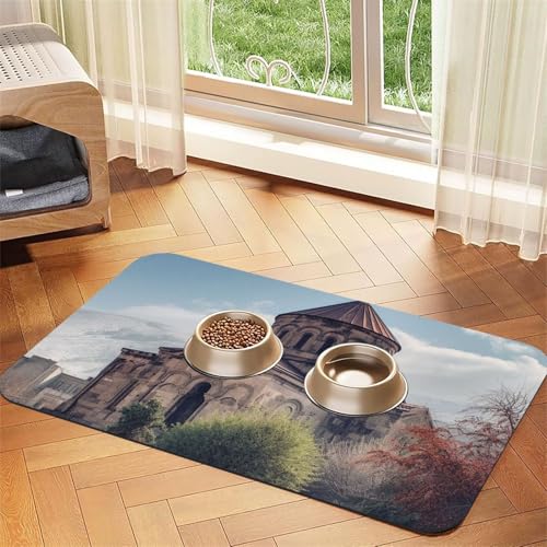 Hundefuttermatten für Böden, 30,5 x 45,7 cm, rutschfest, super saugfähig, spülmaschinenfest, Hundematte für Futter und Wasser, niedlich, schnell trocknend, für Hunde, Welpen, Katzen Hundefuttermatten für Böden, 30,5 x 45,7 cm, rutschfest, super saugfähig, spülmaschinenfest, Hundematte für Futter und Wasser, niedlich, schnell trocknend, für Hunde, Welpen, Katzen von STVYUKL