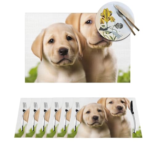 Lustige Tischsets aus Vinyl, Motiv: Labrador-Welpe, 30,5 x 45,7 cm, rutschfest, hitzebeständig, abwischbar, waschbar, Tischmatten für Küche, Esstisch, Dekoration, 1 Stück Lustige Tischsets aus Vinyl, Motiv: Labrador-Welpe, 30,5 x 45,7 cm, rutschfest, hitzebeständig, abwischbar, waschbar, Tischmatten für Küche, Esstisch, Dekoration, 1 Stück von STVYUKL