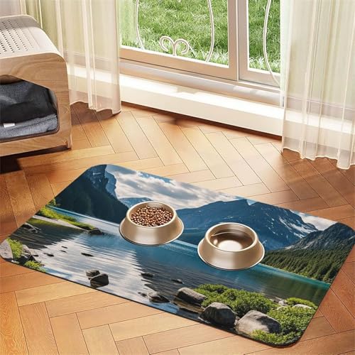 Park Landscape Hundefuttermatten für Böden, 30,5 x 45,7 cm, rutschfeste, super saugfähige Haustierfuttermatte, Geschirrspüler-Hundematte für Futter und Wasser, niedlich, Gummi, schnell trocknend Park Landscape Hundefuttermatten für Böden, 30,5 x 45,7 cm, rutschfeste, super saugfähige Haustierfuttermatte, Geschirrspüler-Hundematte für Futter und Wasser, niedlich, Gummi, schnell trocknend von STVYUKL