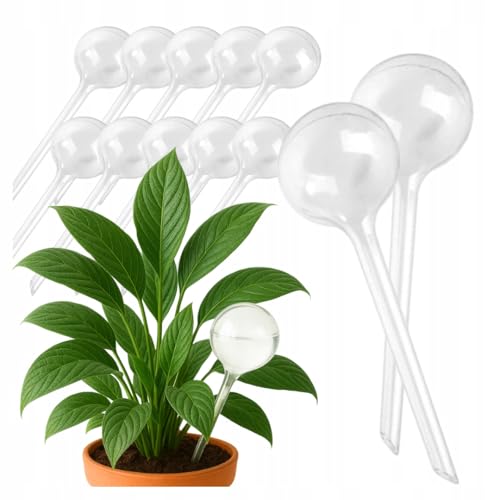STYLIZER Wasserspender Pflanzen 70ml 10er Set - Bewässerungskugeln Klein - Pflanzen Selbstbewässerung - Pflanzenbewässerung Indoor & Outdoor - Bewässerung Zimmerpflanzen & Topfpflanzen, Transparent von STYLIZER