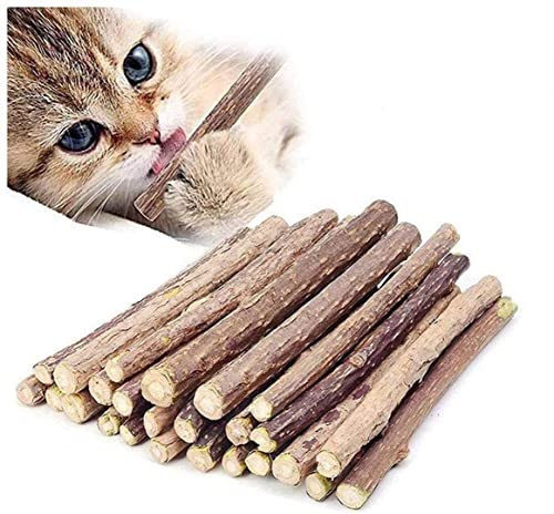 Katzenminze Sticks Bio-Kauspielzeug für Katzen, natürliche Pflanze, Matatabi, Silbervine, Kaustäbchen für Katzen, Zahnreinigung, Kauspielzeug für Katzen, Kätzchen, 50 Stück von STmea