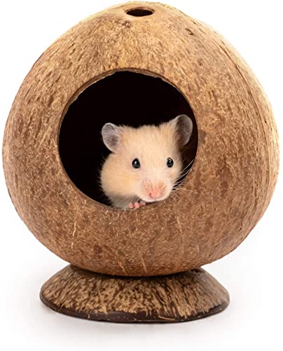 Kokosnusshütte Hamsterhaus Bett für Rennmäuse Mäuse Kleintierkäfig Habitat Dekor von STmea