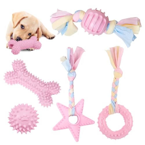 SUATK Hundespielzeug Set, Kauspielzeug für Hunde mit Ball, 5 Stück Welpenspielzeug Langlebiges Interaktives Kauspielzeug aus Naturbaumwolle, Ungiftig für Mittelgroße Hunde und Große Hunde SUATK Hundespielzeug Set, Kauspielzeug für Hunde mit Ball, 5 Stück Welpenspielzeug Langlebiges Interaktives Kauspielzeug aus Naturbaumwolle, Ungiftig für Mittelgroße Hunde und Große Hunde von SUATK