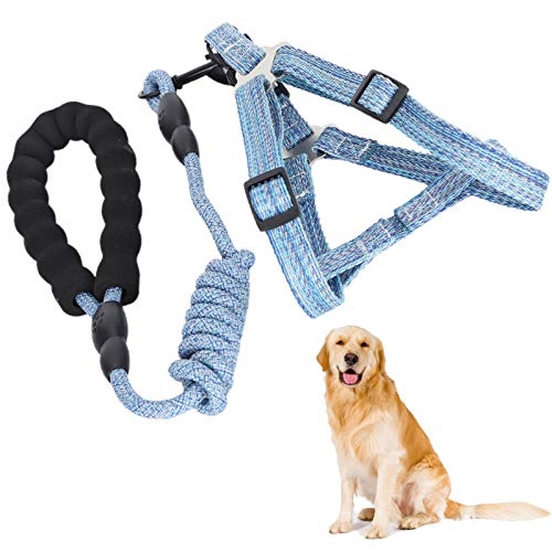 SUCIE Hundegeschirr, Anti-Verloren-Hundegeschirr mit Leine Blau ausbruchsicher verstellbar für Haustiere(M (Suitable for 8-15 kg)) von SUCIE