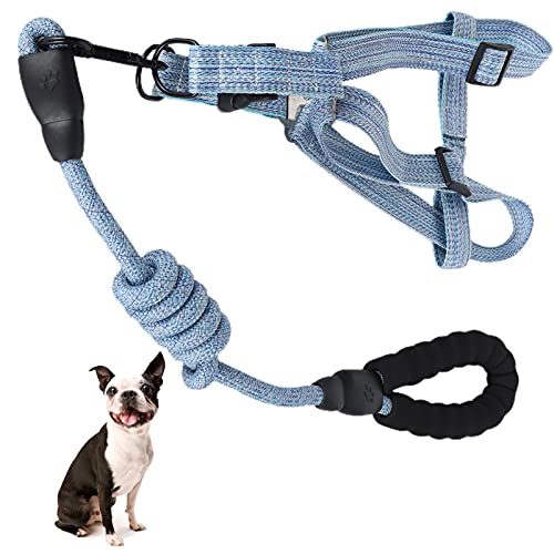SUCIE Hundegeschirr, Anti-Verloren-Hundegeschirr mit Leine Blau ausbruchsicher verstellbar für Haustiere(XL (Suitable for 45-60 kg)) von SUCIE