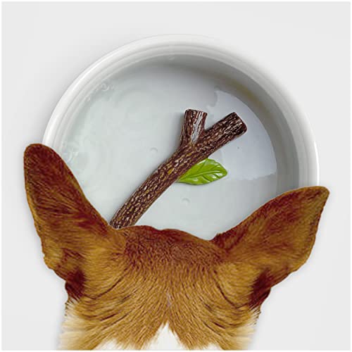 Suck UK Hundenapf | Hunde Wassernapf mit 3D Stick | Hundenäpfe für Wasser | Keramik Hundenapf | Neuheit Hundespielzeug & Hundezubehör | Hundespielzeug Welpennapf toll für den Hund Geburtstag | von SUCK UK